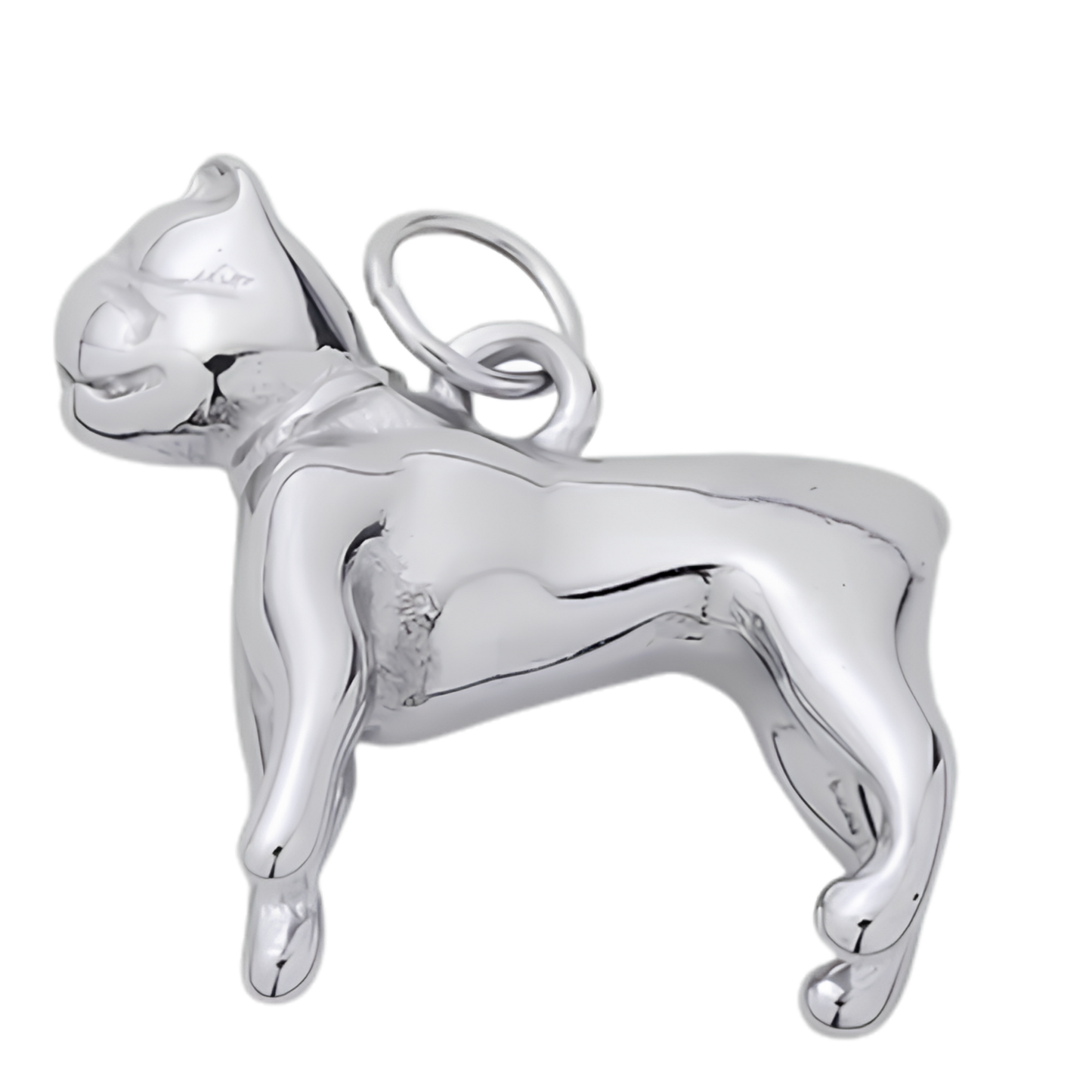 Ezüst francia bulldog