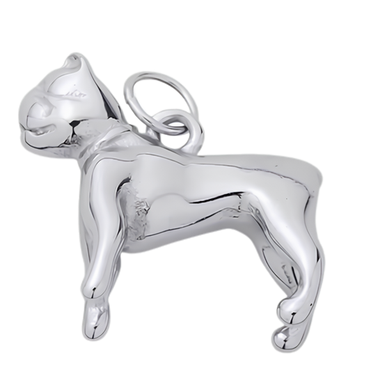 Ezüst francia bulldog